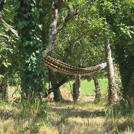 La Riviere Maison Piscine Emplacement Ideal
